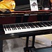 ������������� �������� ����������� ������������ ������� ������ � 2024�