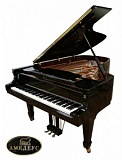   ѻ L166,  